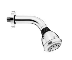 Adjustable Shower Head with Finish Option